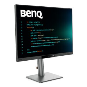 BenQ RD280UG Monitor