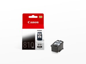 Canon PG-810 Ink Cartridge